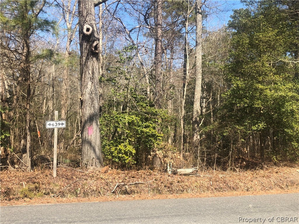 0 Crab Neck Road Hudgins, VA 23076 - Photo 3 of 4