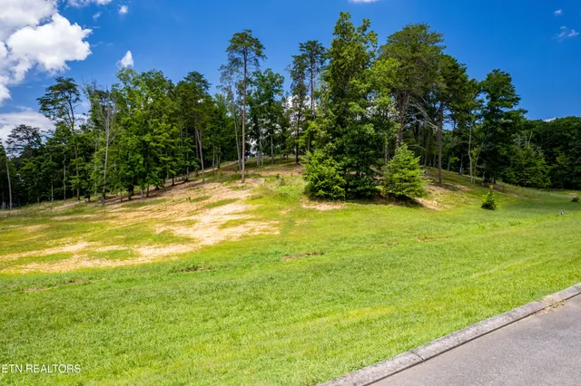 $46,000 | Lot 6 County Road, Athens, TN 37303
