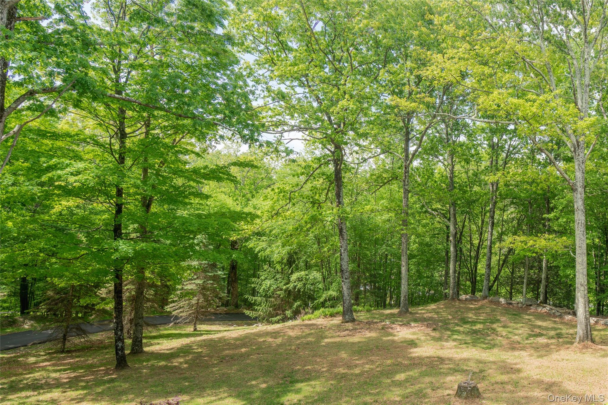 182 Frey Road Pine Bush, NY 12566 - Photo 26 of 33 a view of a field with trees in the background