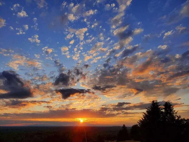 $1,199,000 | 341 Highway 1, Weston, ME 04424