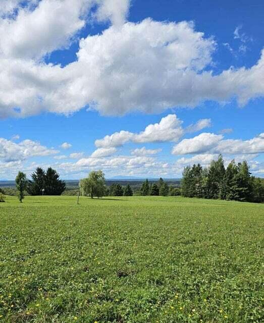 341 Highway 1 Weston, ME 04424 - Photo 95 of 107 Beautiful acreage...