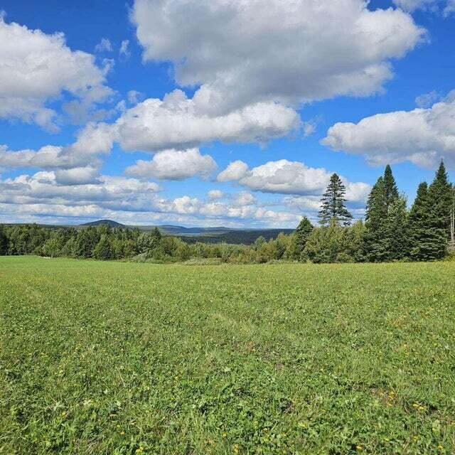 341 Highway 1 Weston, ME 04424 - Photo 98 of 107 Fertile Fields...