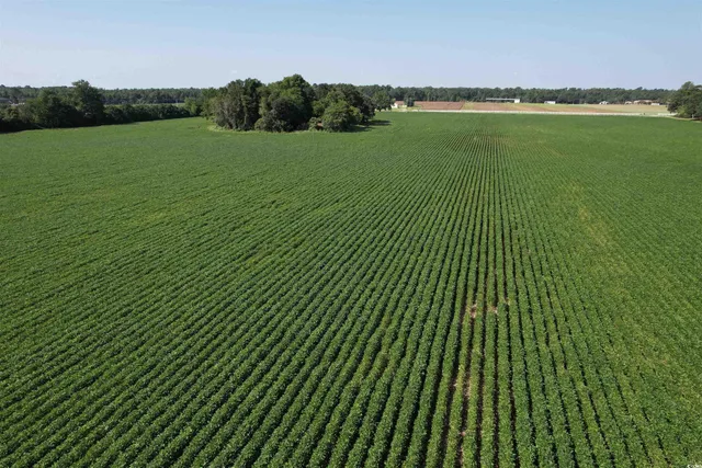 $410,000 | Tbd Sumter Highway, Kingstree, SC 29556