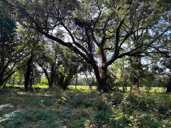 $345,000 | Tbd Sumter Highway, Kingstree, SC 29556