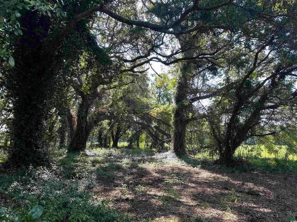 $345,000 | Tbd Sumter Highway, Kingstree, SC 29556