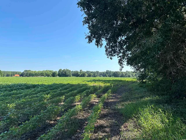 $410,000 | Tbd Sumter Highway, Kingstree, SC 29556