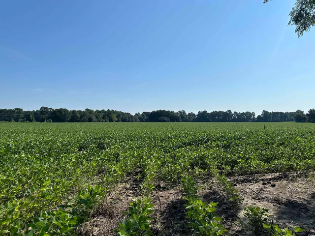 $410,000 | Tbd Sumter Highway, Kingstree, SC 29556