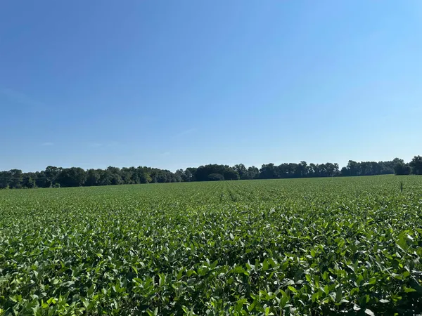 $345,000 | Tbd Sumter Highway, Kingstree, SC 29556