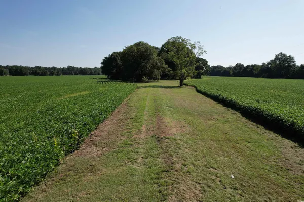 $345,000 | Tbd Sumter Highway, Kingstree, SC 29556