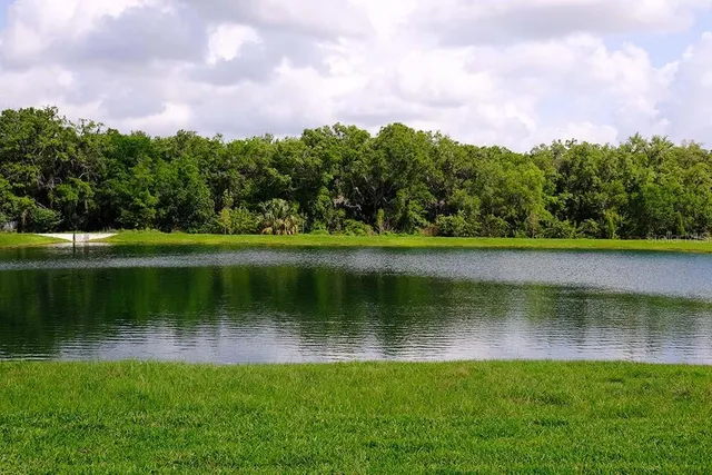 a view of a lake with a yard
