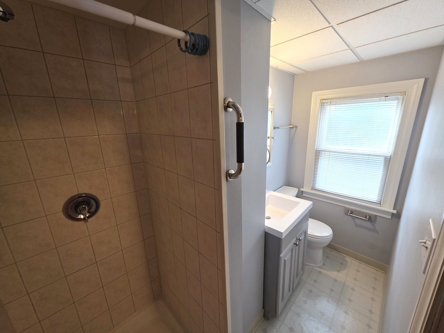 436 South Arlington Heights Road Arlington Heights, IL 60005 - Photo 11 of 16 a bathroom with a shower a toilet and a sink