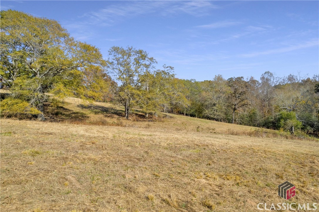 955 Griffeth Road Colbert, GA 30628 - Photo 46 of 62