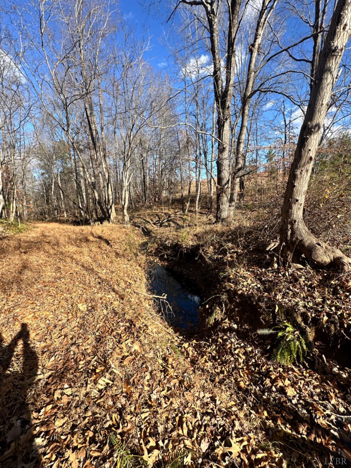 0 Lot 2b Police Tower Road Appomattox, VA 24522 - Photo 11 of 16 a view of a yard with plants and trees