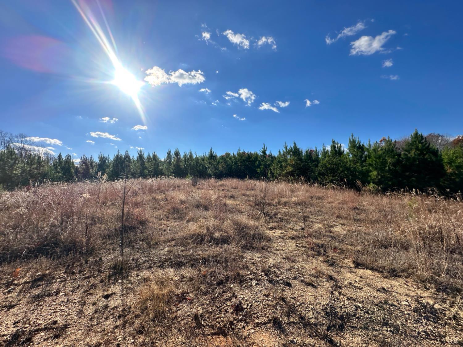 0 Lot 2b Police Tower Road Appomattox, VA 24522 - Photo 13 of 16 a view of a yard with a tree