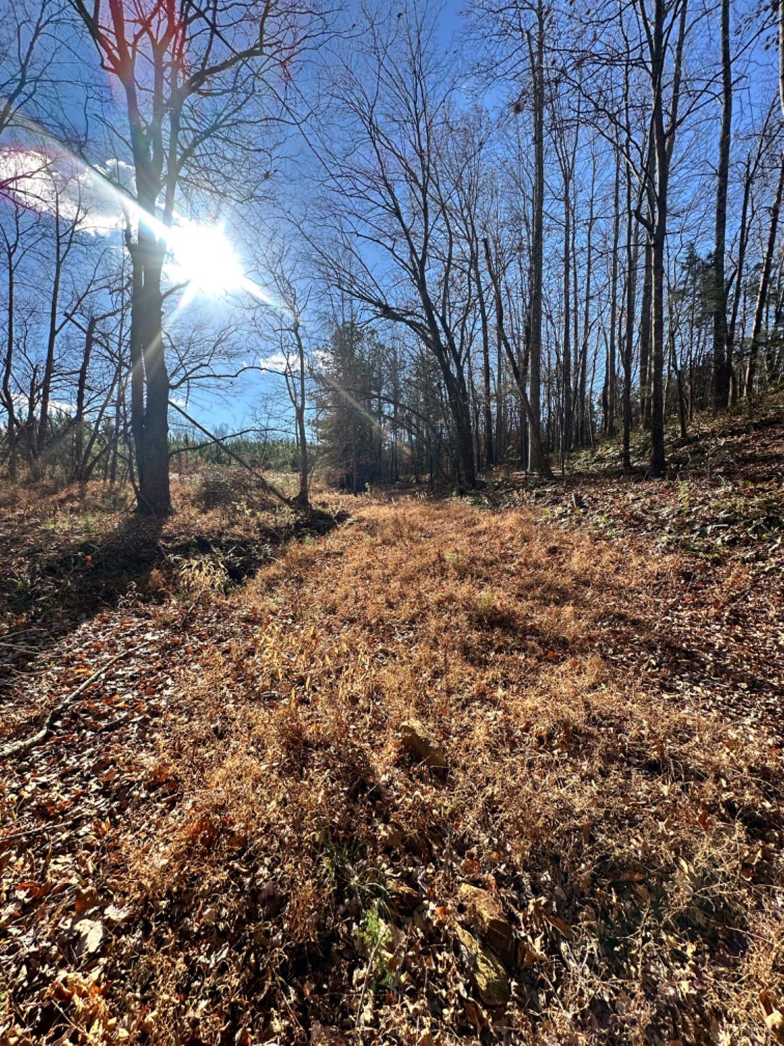 0 Lot 2b Police Tower Road Appomattox, VA 24522 - Photo 4 of 16 a backyard of a house with lots of green space