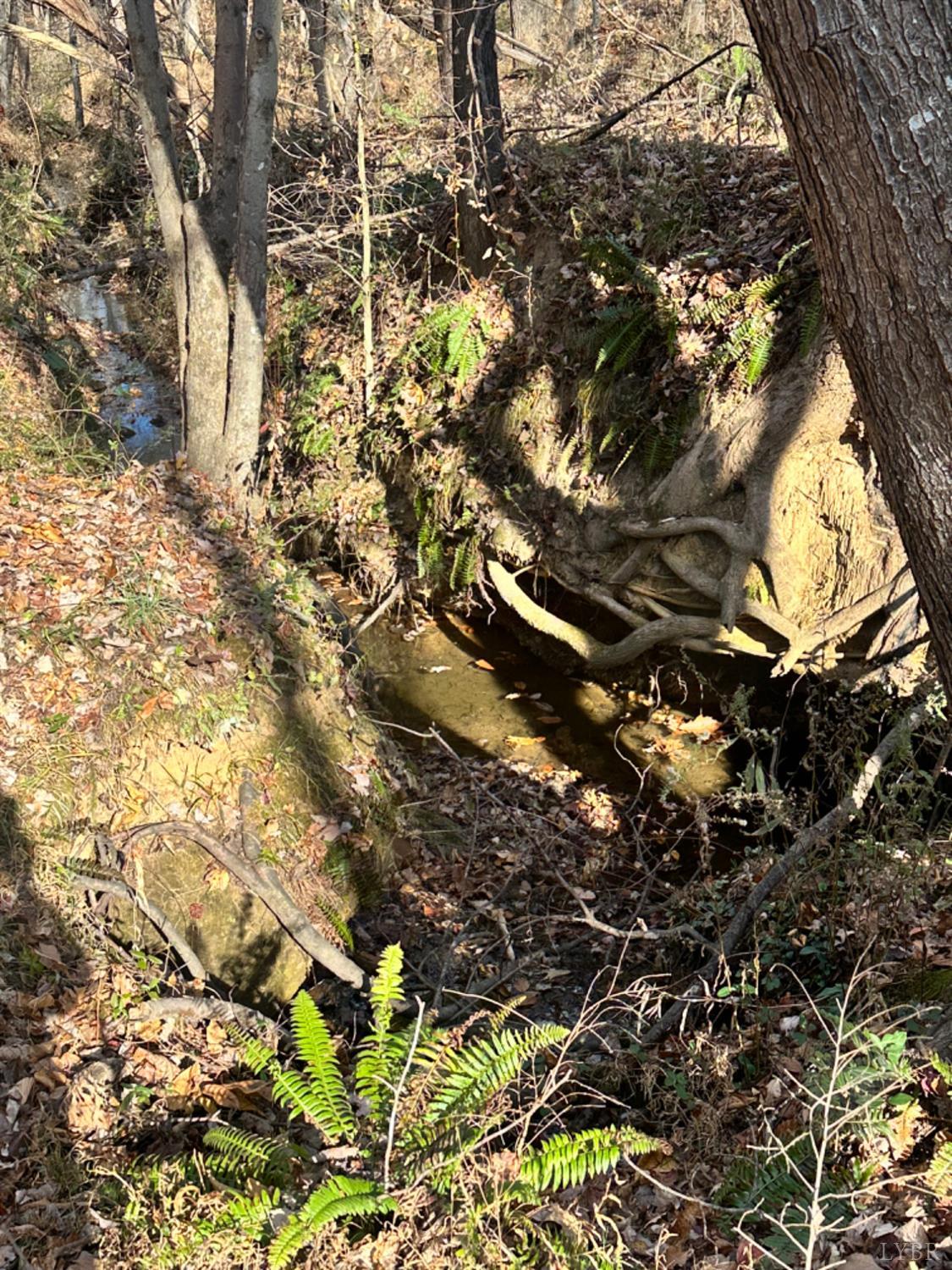 0 Lot 2b Police Tower Road Appomattox, VA 24522 - Photo 5 of 16 a backyard of a house