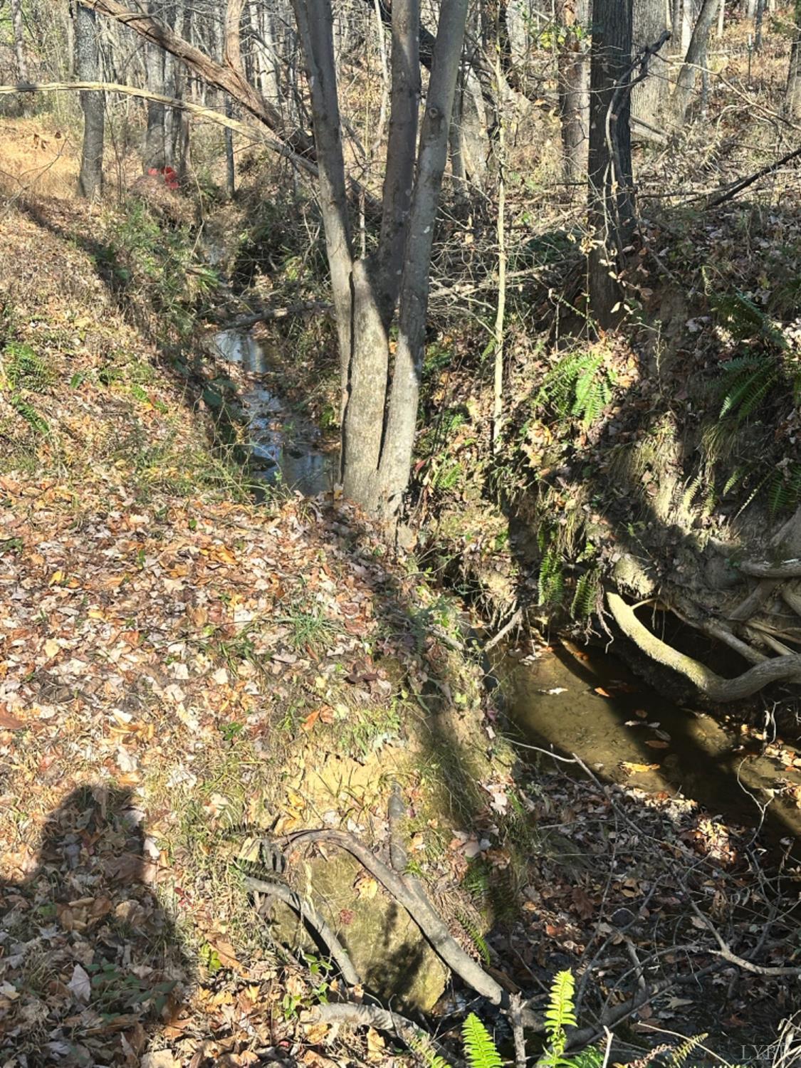 0 Lot 2b Police Tower Road Appomattox, VA 24522 - Photo 7 of 16 a backyard of a house