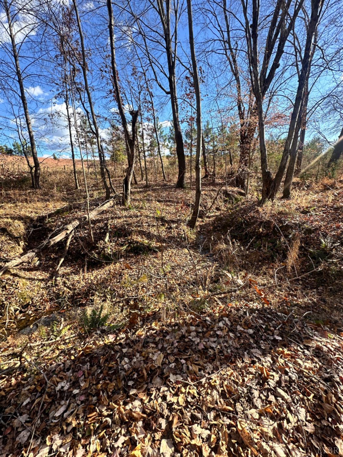 0 Lot 2b Police Tower Road Appomattox, VA 24522 - Photo 8 of 16 a view of covered with green space