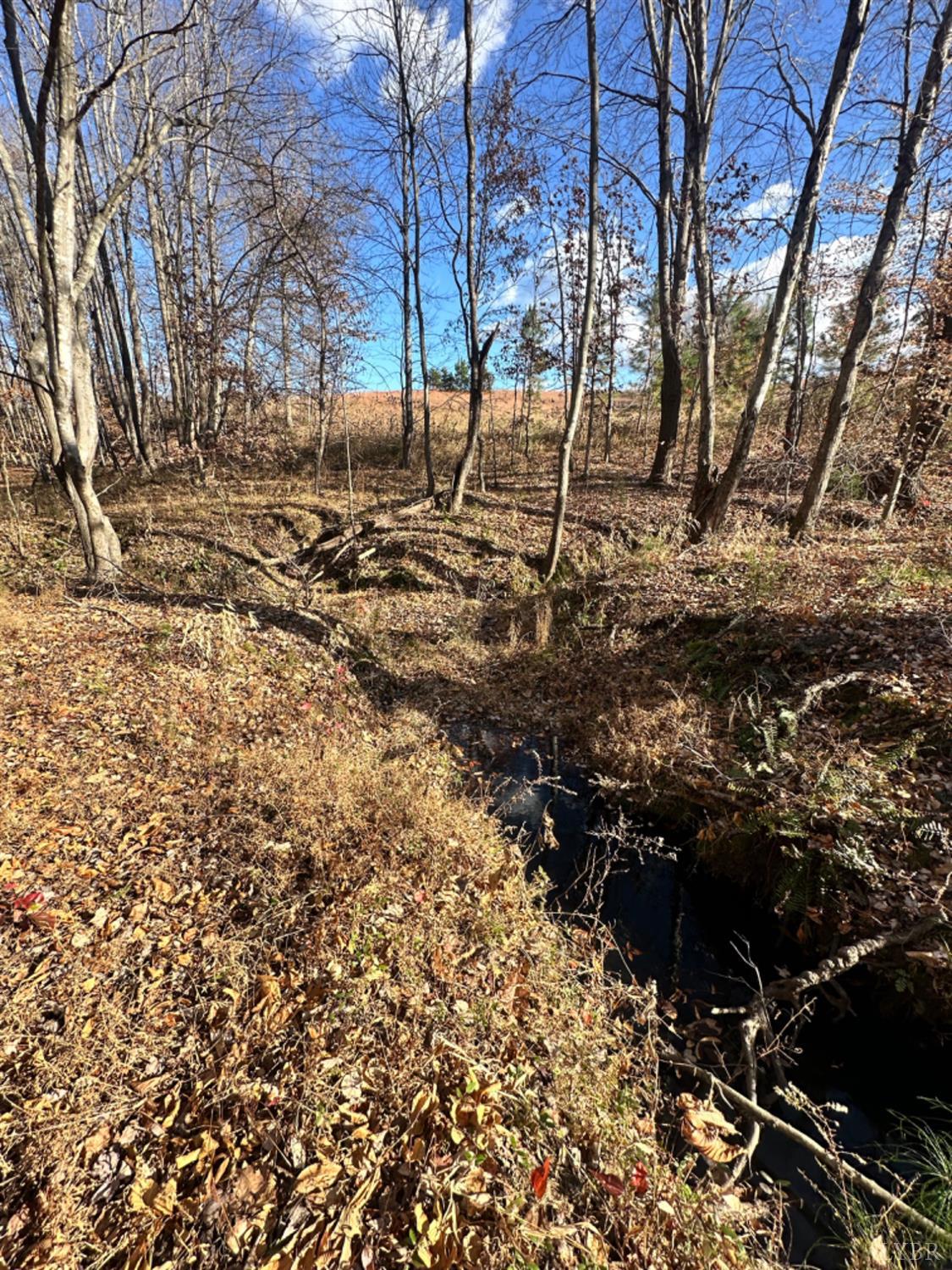 0 Lot 2b Police Tower Road Appomattox, VA 24522 - Photo 9 of 16 a view of a yard with plants and trees