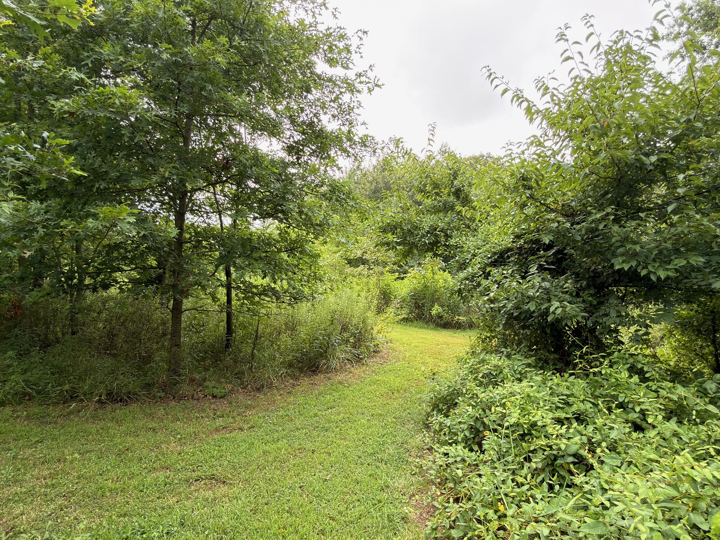 2301 Bundyville Road Walnut Hill, IL 62893 - Photo 66 of 66 Gallery Image 66