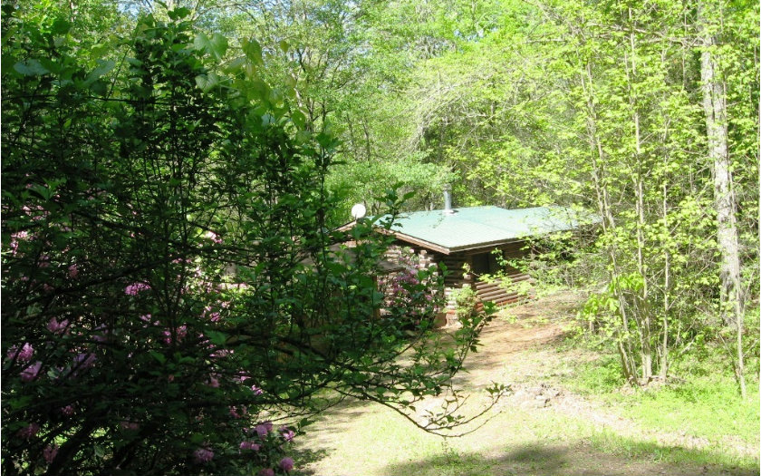 994 Power Dam Road Blue Ridge, GA 30513 - Photo 1 of 1 Main View