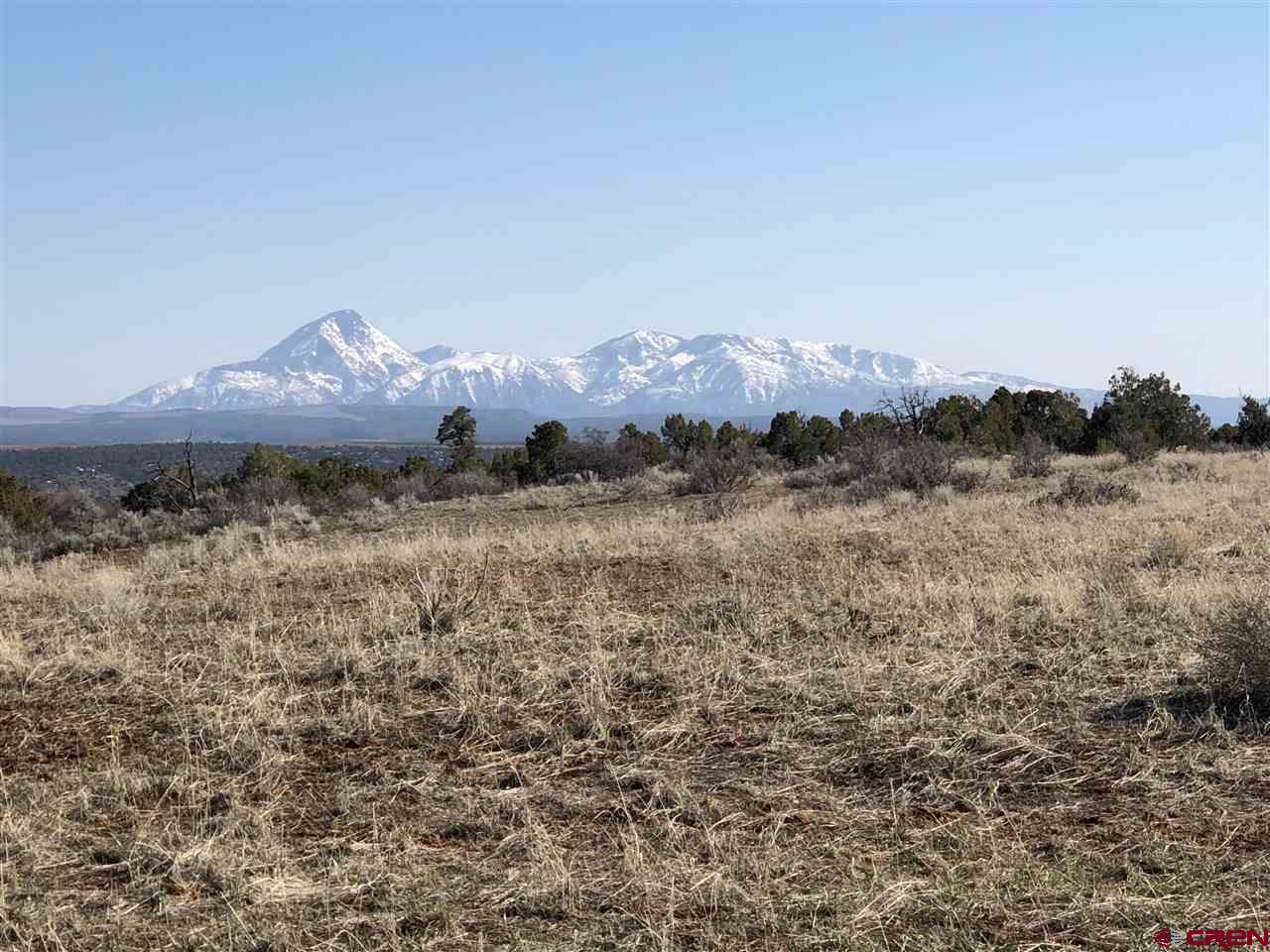 11220 Road Z Road Yellow Jacket, CO 81331 - Photo 1 of 30 a view of a dry yard with mountains in the background
