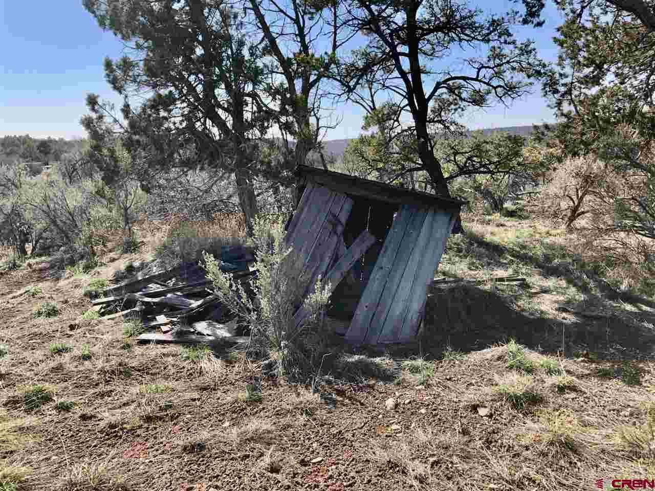 11220 Road Z Road Yellow Jacket, CO 81331 - Photo 22 of 30 a backyard of a house with a large tree