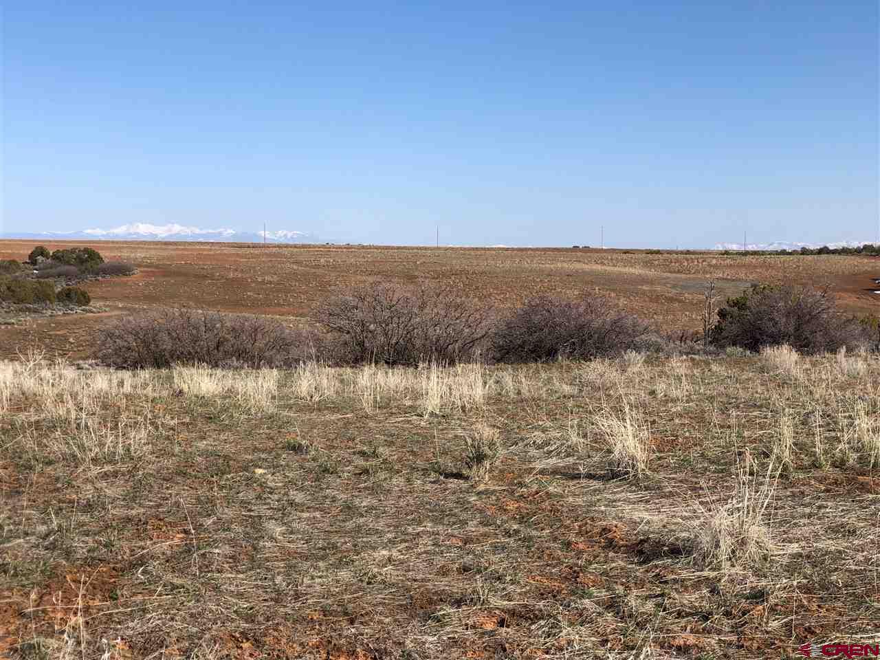11220 Road Z Road Yellow Jacket, CO 81331 - Photo 27 of 30 a view of lake