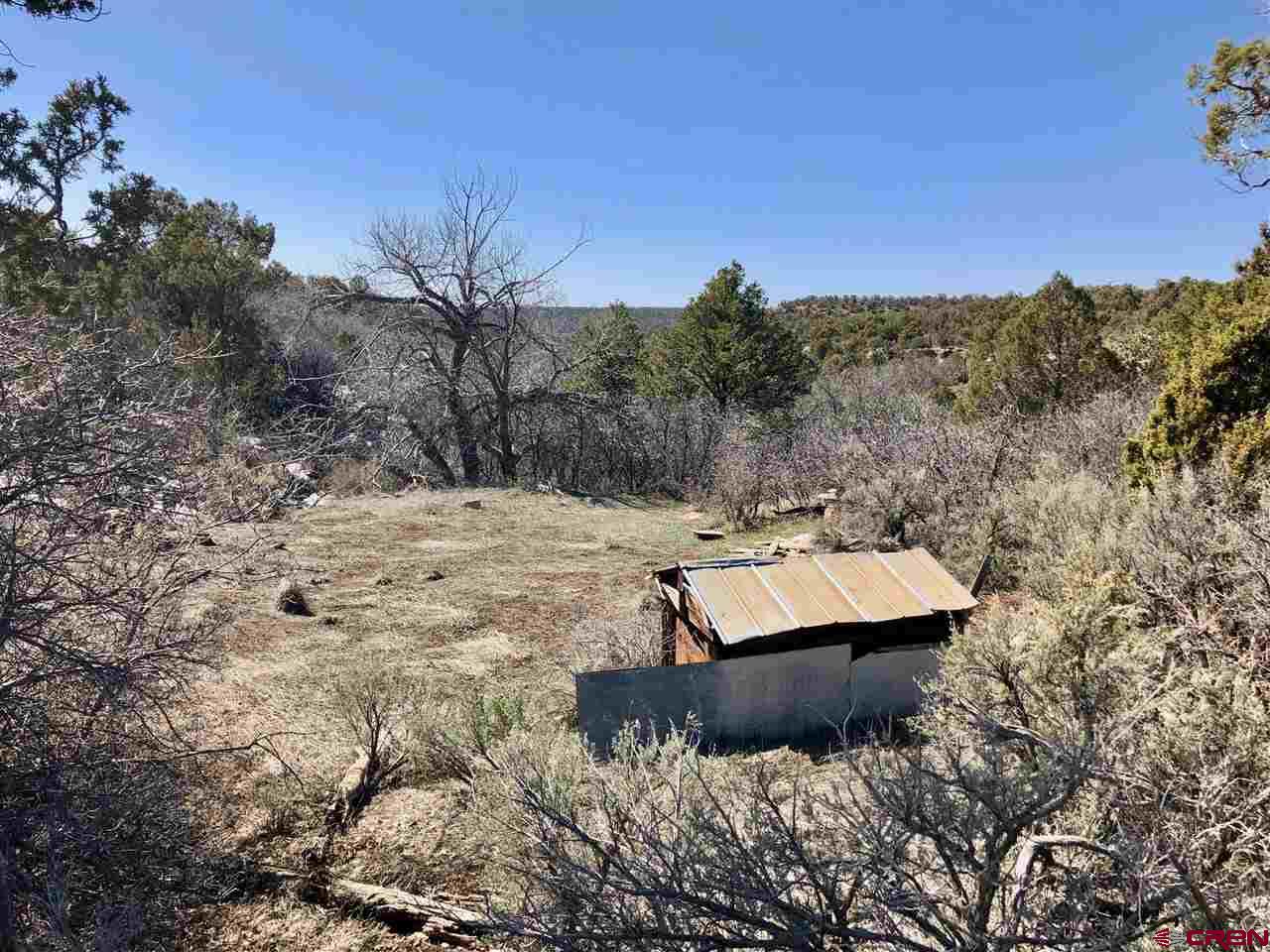 11220 Road Z Road Yellow Jacket, CO 81331 - Photo 6 of 30 a view of a backyard of the house