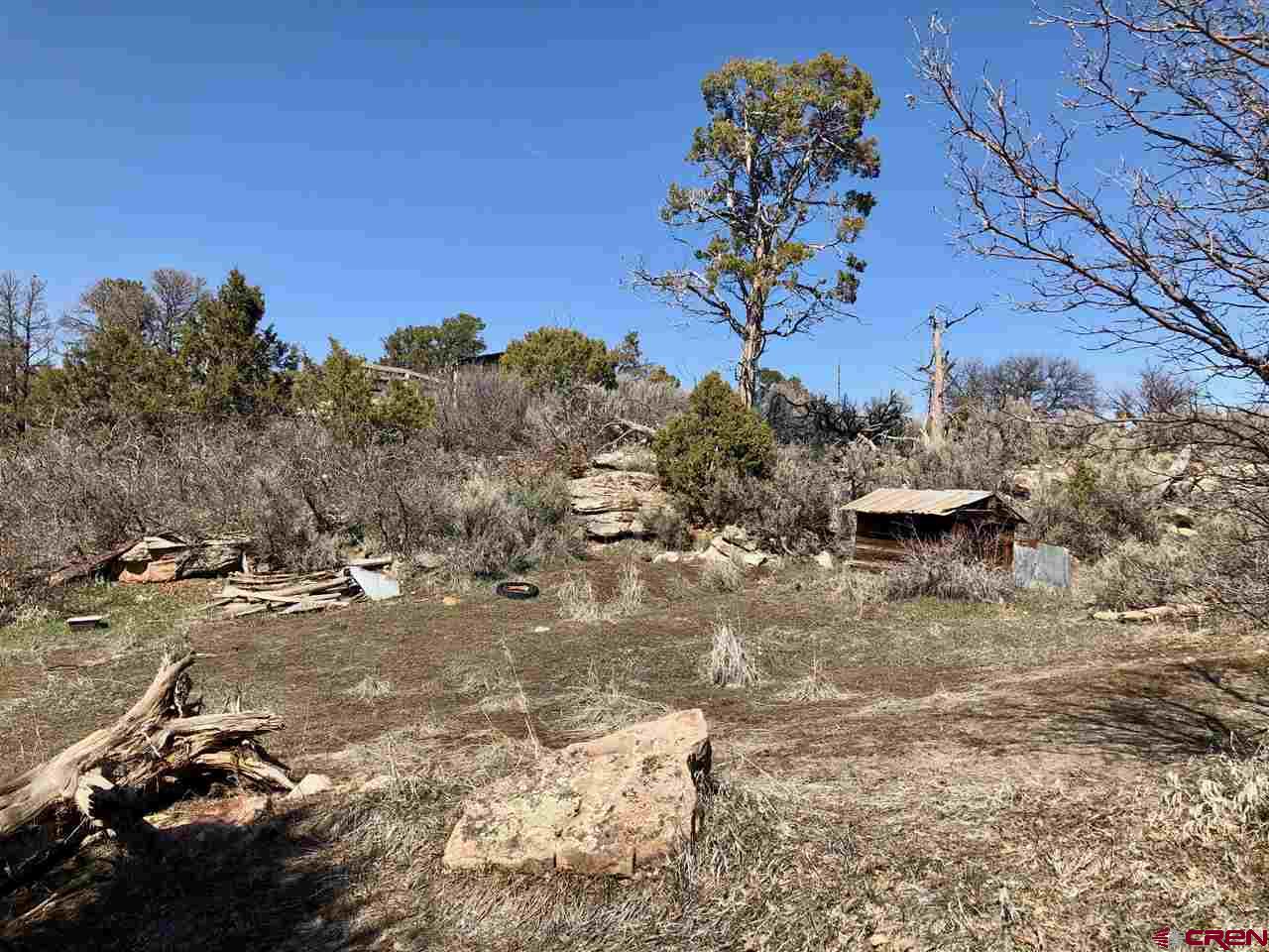 11220 Road Z Road Yellow Jacket, CO 81331 - Photo 10 of 30 a view of a dry yard with a large tree