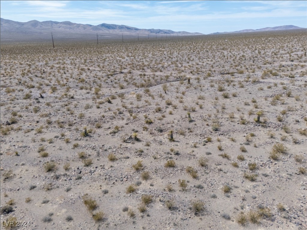 1401 West Coral Road Pahrump, NV 89060 - Photo 3 of 14