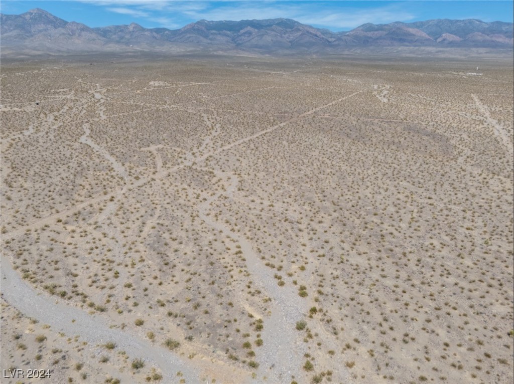 1401 West Coral Road Pahrump, NV 89060 - Photo 7 of 14