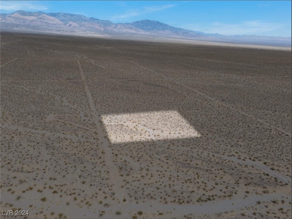 1401 West Coral Road Pahrump, NV 89060 - Photo 10 of 14