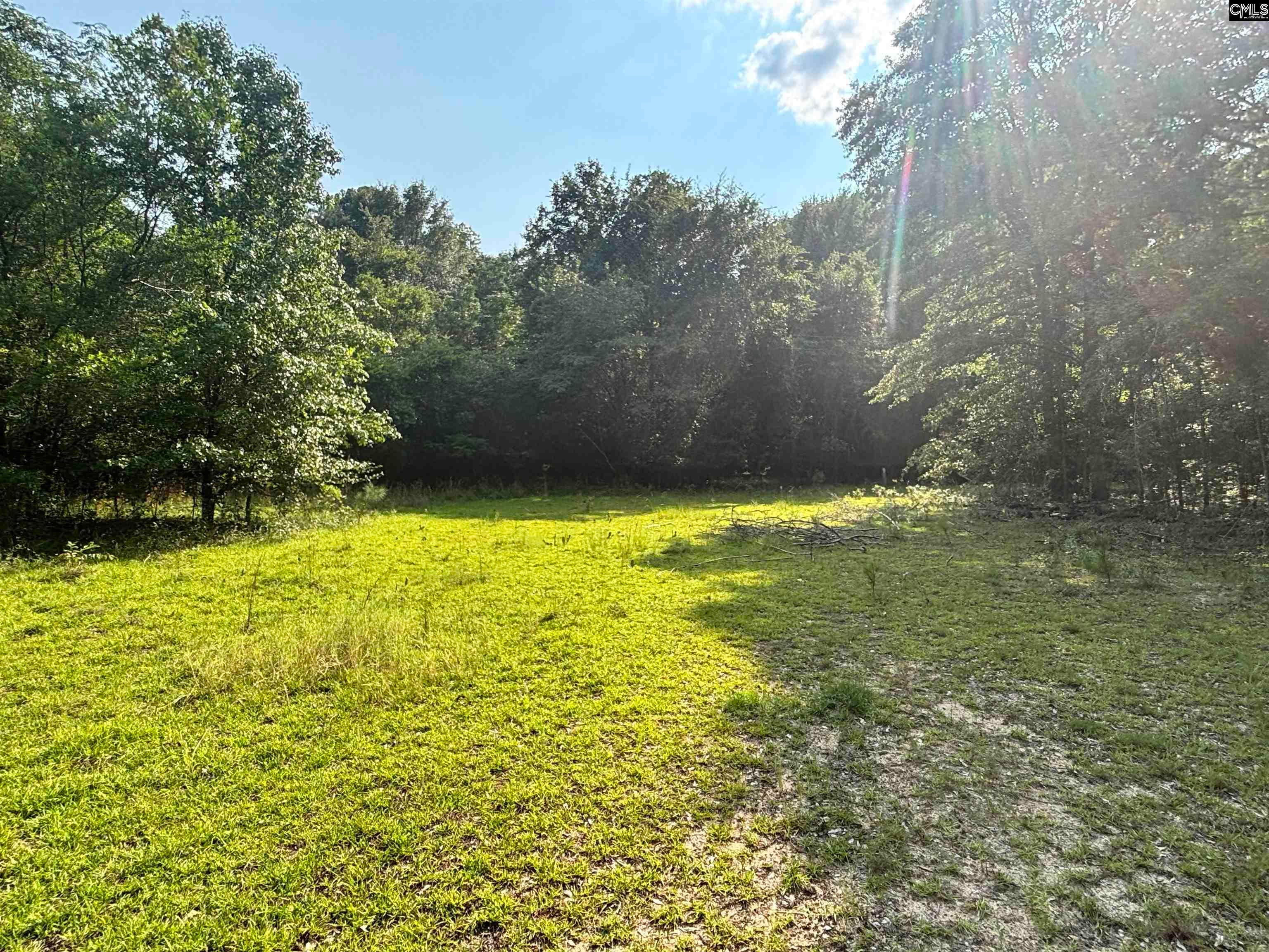 269 B Lachicotte Road Lugoff, SC 29078 - Photo 6 of 13 Gallery Image 6
