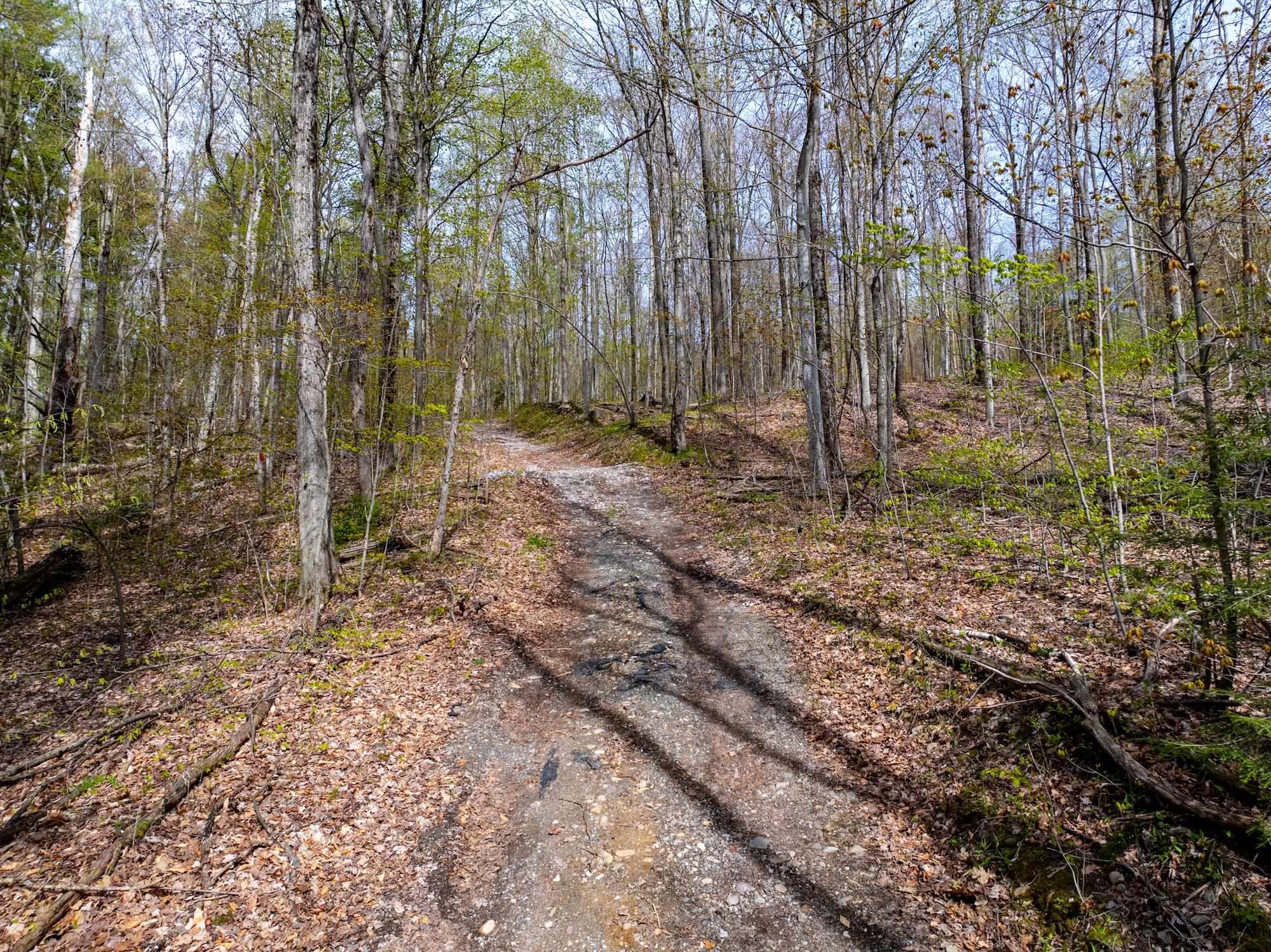 476 Lincoln Road Williston, VT 05495 - Photo 18 of 29