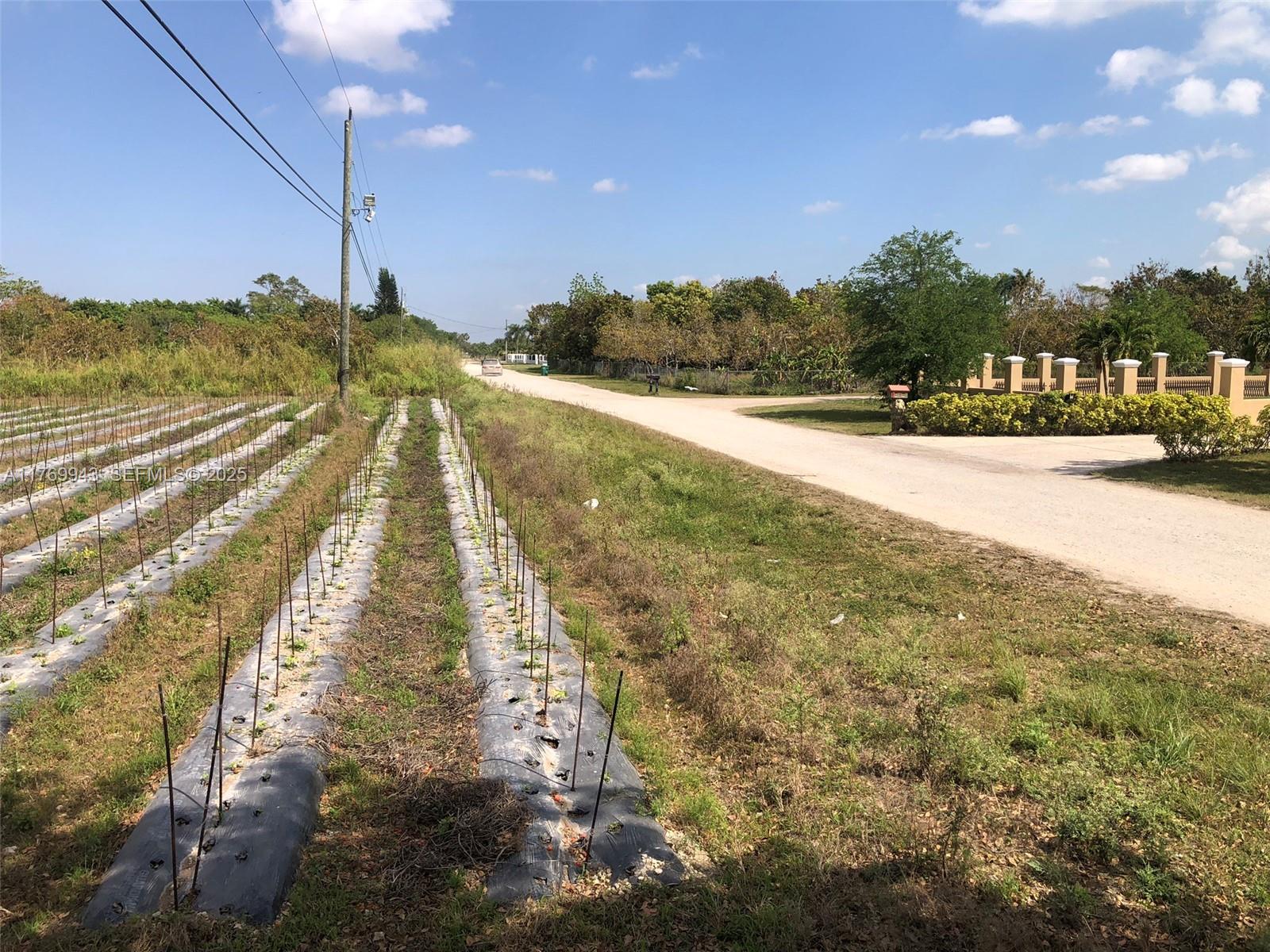 19550 Southwest 207th Avenue Miami, FL 33187 - Photo 2 of 9 a view of a swimming pool with a yard