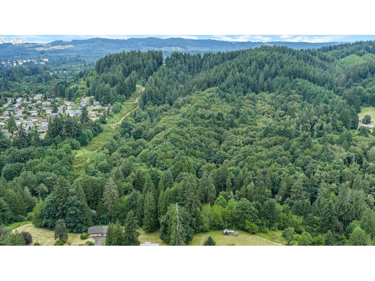 32725 Northwest Ej Smith Road Scappoose, OR 97056 - Photo 10 of 14