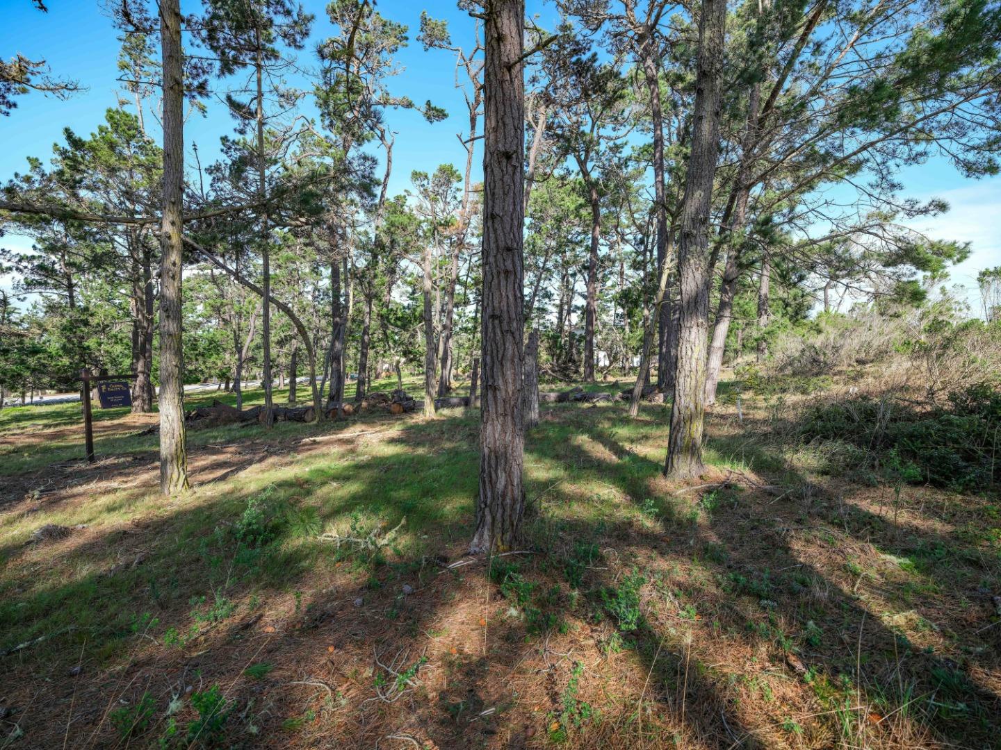 25 Poppy Ln. Lane Pebble Beach, CA 93953 - Photo 11 of 17 a view of outdoor space and yard
