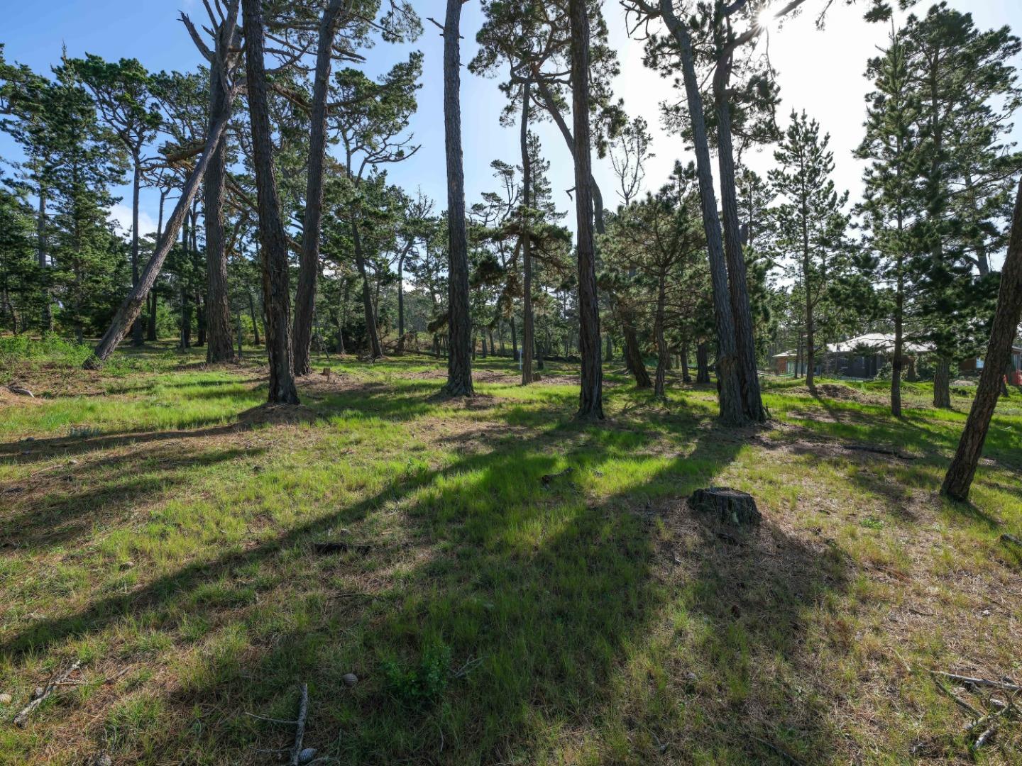 25 Poppy Ln. Lane Pebble Beach, CA 93953 - Photo 13 of 17 a big yard with lots of green space and trees