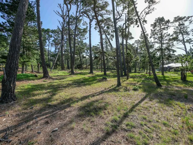 a view of outdoor space with trees