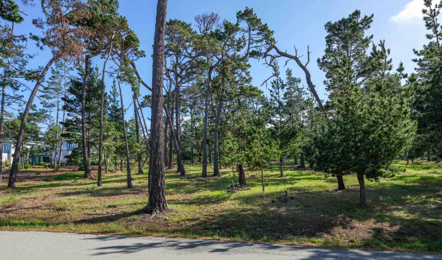 25 Poppy Ln. Lane Pebble Beach, CA 93953 - Photo 7 of 17 a view of a park