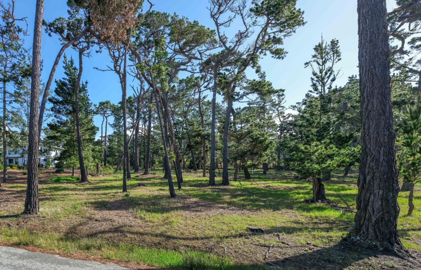 25 Poppy Ln. Lane Pebble Beach, CA 93953 - Photo 8 of 17 a view of a park