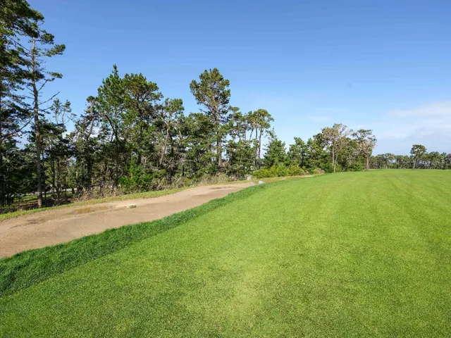 a view of a yard with a house in the background