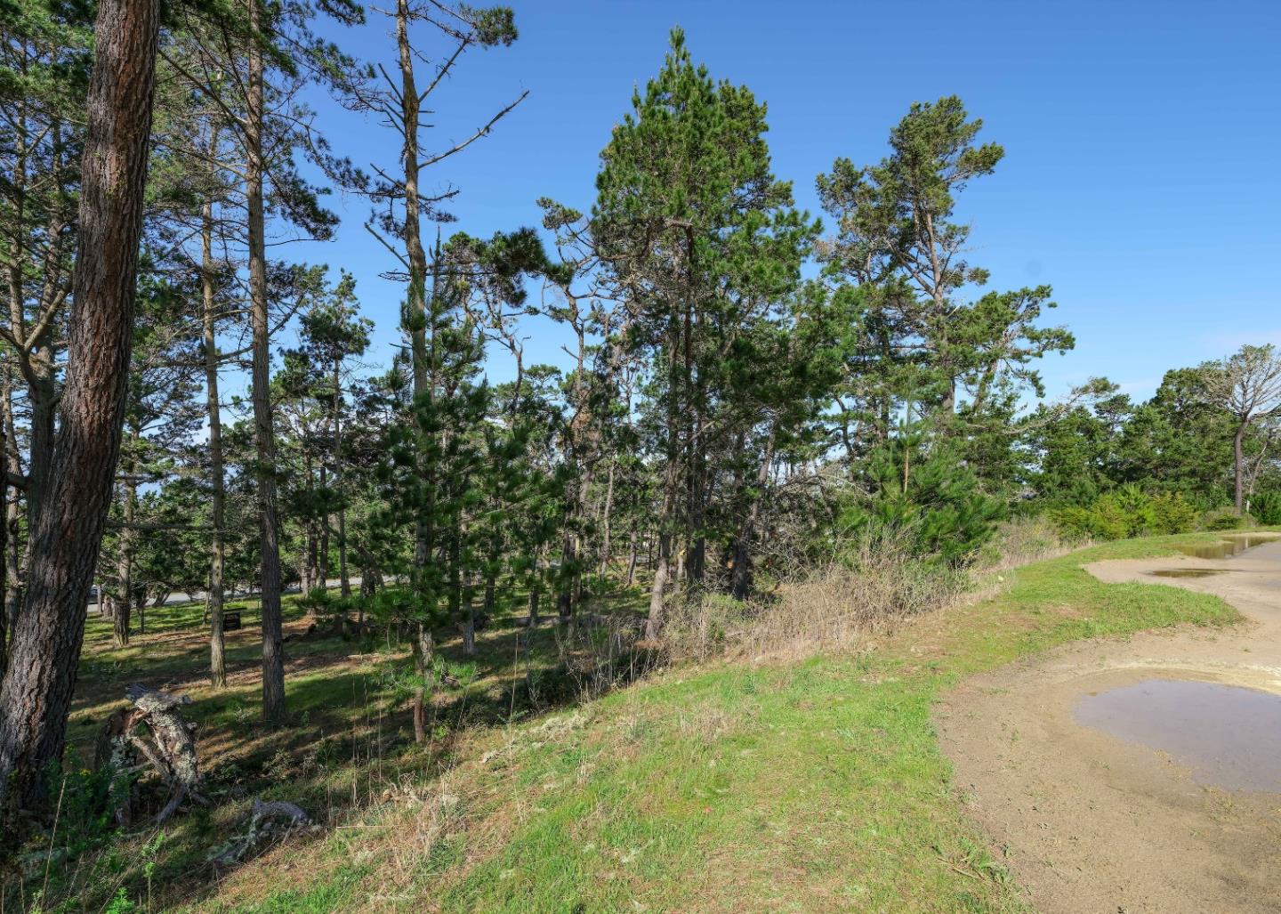 25 Poppy Ln. Lane Pebble Beach, CA 93953 - Photo 10 of 17 a view of a yard with a tree