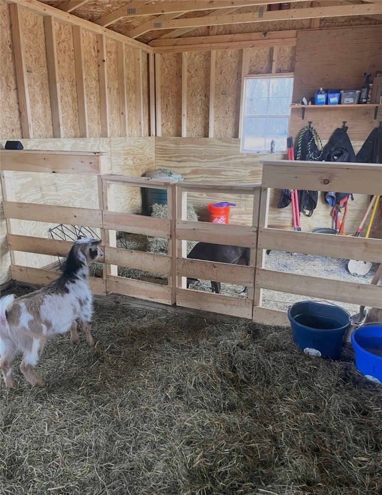 929 Patria Road Fulton, NY 12187 - Photo 36 of 50