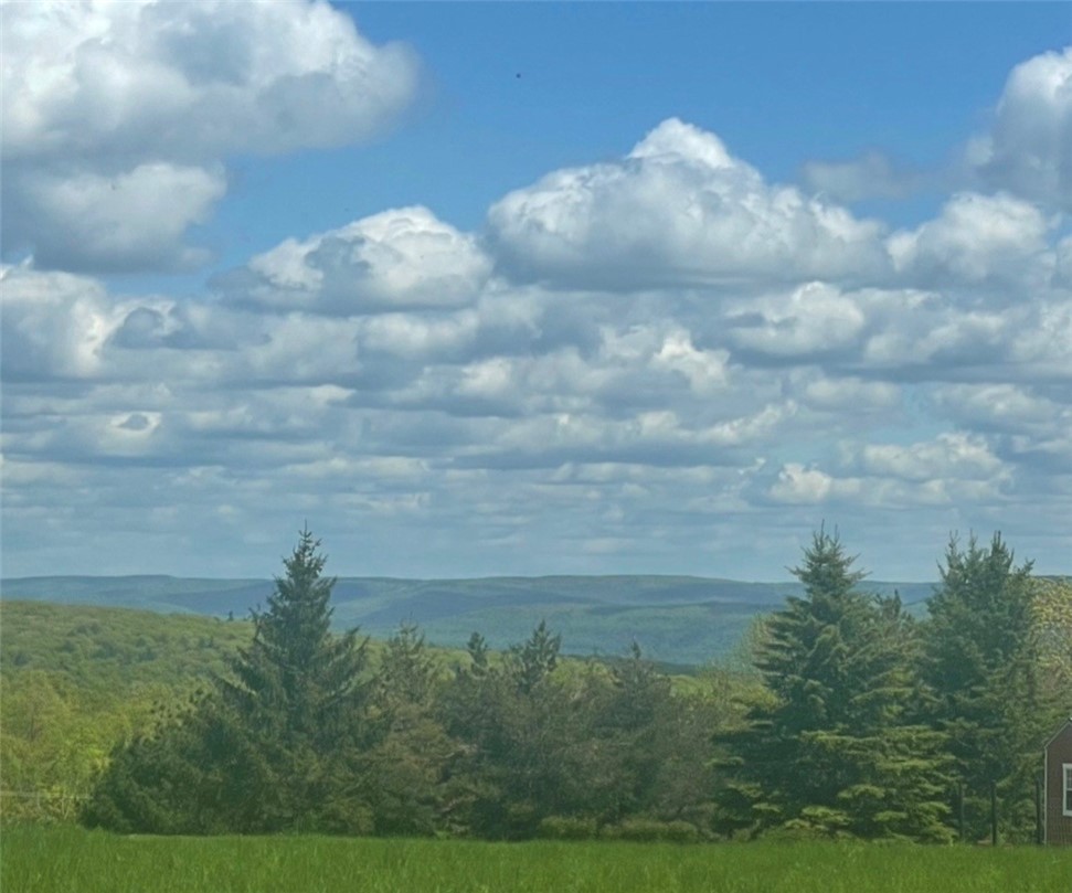 929 Patria Road Fulton, NY 12187 - Photo 46 of 50