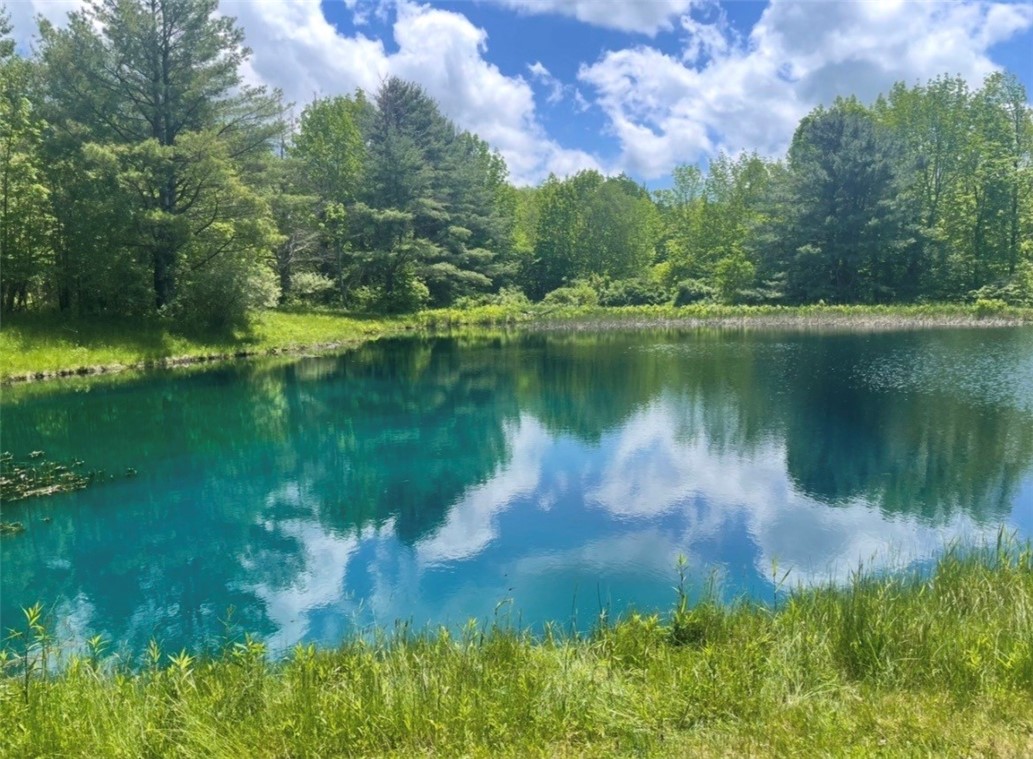 929 Patria Road Fulton, NY 12187 - Photo 47 of 50