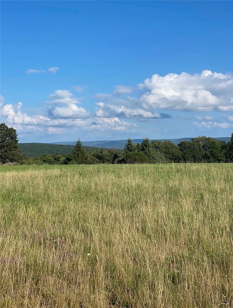 929 Patria Road Fulton, NY 12187 - Photo 48 of 50