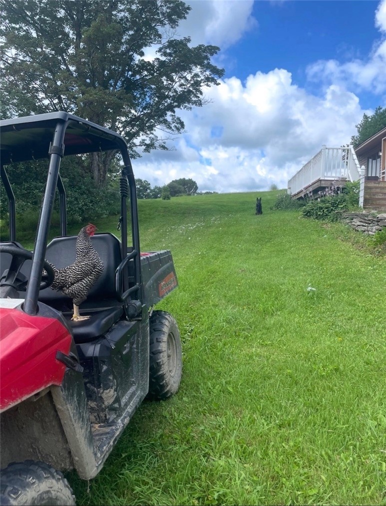 929 Patria Road Fulton, NY 12187 - Photo 49 of 50