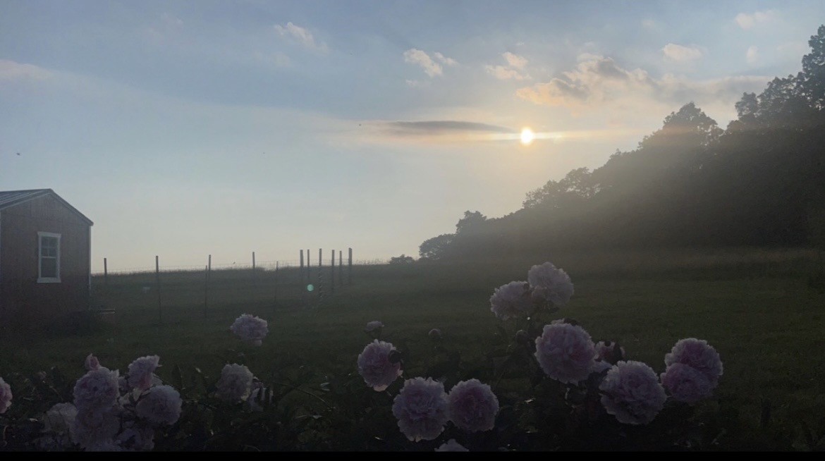 929 Patria Road Fulton, NY 12187 - Photo 50 of 50